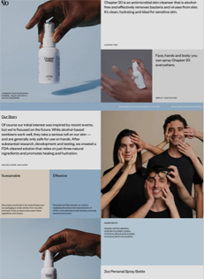 Website template preview